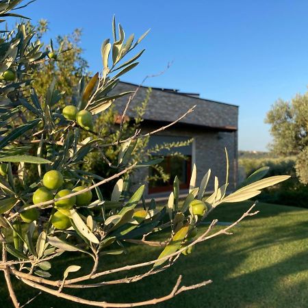 לינה וארוחת בוקר Torrevecchia Teatina Gioia In Collina מראה חיצוני תמונה