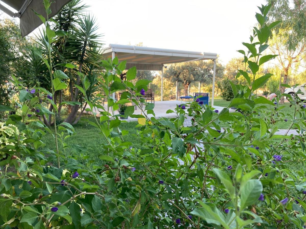 לינה וארוחת בוקר Torrevecchia Teatina Gioia In Collina מראה חיצוני תמונה