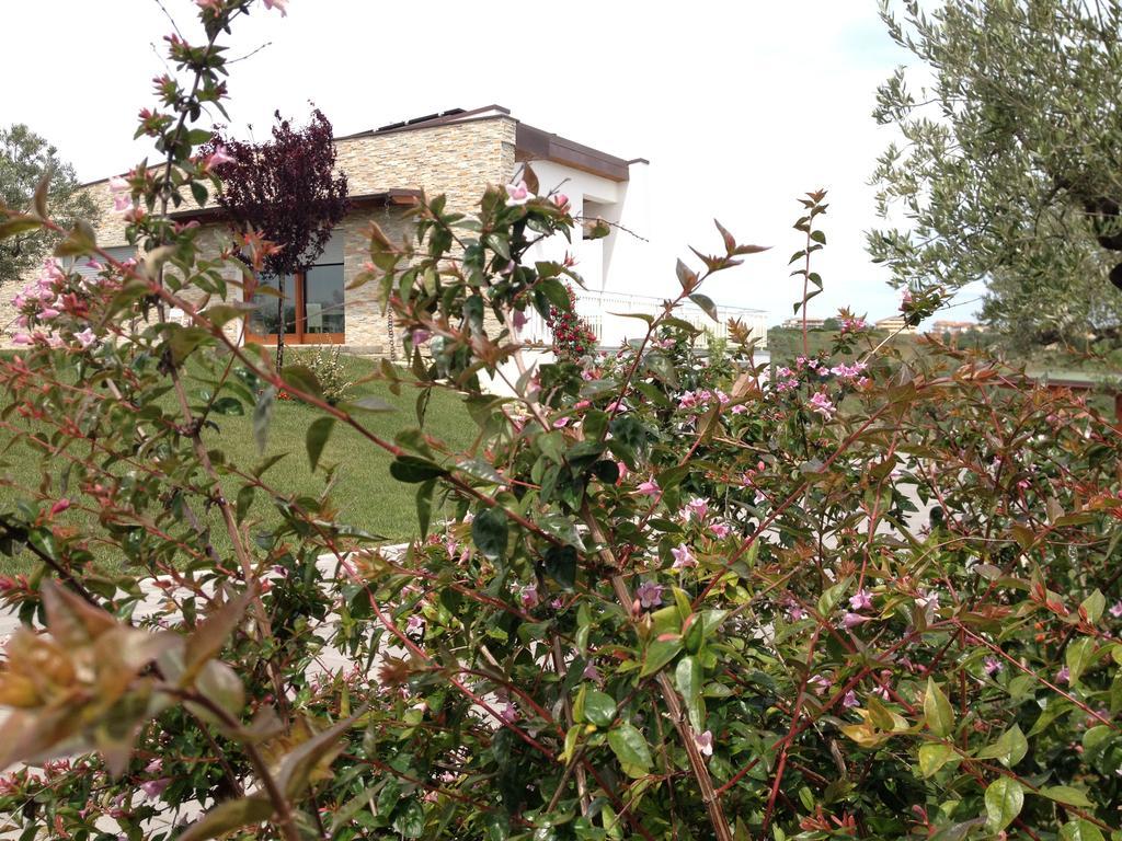 לינה וארוחת בוקר Torrevecchia Teatina Gioia In Collina מראה חיצוני תמונה